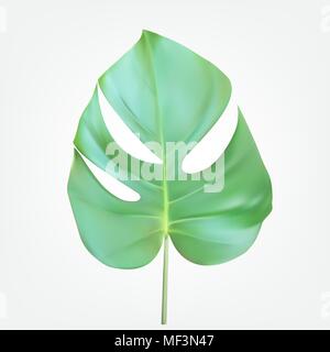 Bunte naturalistischen grüne Blätter am Zweig. Vector Illustration. Stock Vektor
