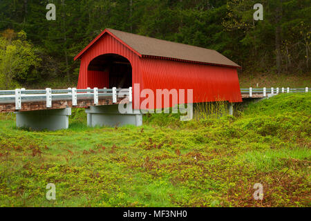 Fisher Schule Covered Bridge (Brücke) fünf Flüsse, Lincoln County, Oregon Stockfoto
