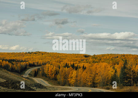 Kanada, British Columbia, Northern Rockies, Alaska Highway im Herbst Stockfoto