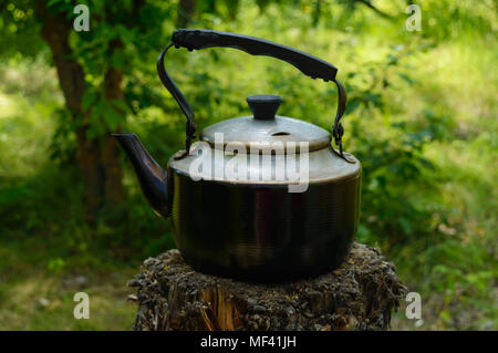 Vintage Wasserkocher für Heizung Wasser auf ein alter Baumstumpf im Hintergrund der Natur. Für Männer Stockfoto