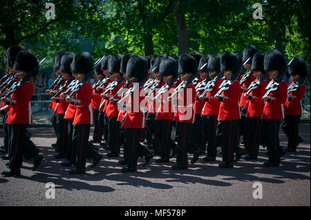 LONDON - 17. Juni 2017: Royal Guards in traditionellen Rotröcke und Bären Fell Busby Hüte in Formation auf der Mall in einem Trooping marschieren die Farbe Parade o Stockfoto