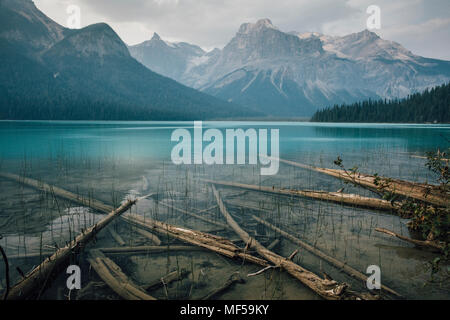 Kanada, British Columbia, Columbia-Shuswap A, Emerald Lake Trail, Michael Peak, Yoho National Park, Rocky Mountain Stockfoto