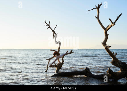 Junge Frau mit Yoga auf einen umgestürzten Baum im Meer Stockfoto