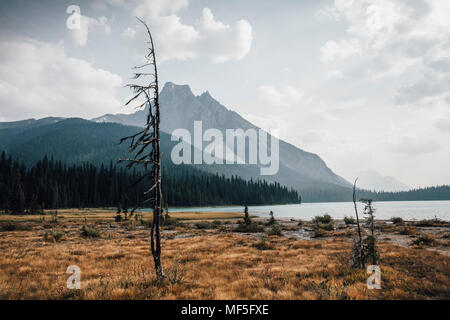 Kanada, British Columbia, Columbia-Shuswap A, Rocky Mountains, Walcott Peak, Yoho National Park Stockfoto