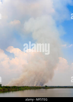 Rauch Stack, die in der Luft schweben mit Feuer in der Nähe der Sümpfe Stockfoto
