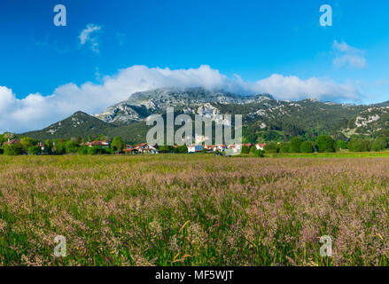 Mount Candina (489 m) - Monte Candina, Liendo Tal, Kantabrien, Spanien, Europa Stockfoto