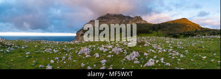 Mount Candina (489 m) - Monte Candina, Liendo Tal, Kantabrien, Spanien, Europa Stockfoto