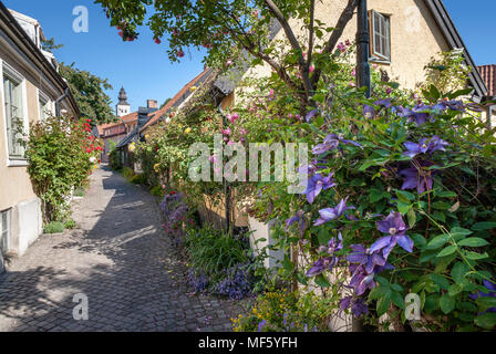 Die alte Gasse Fisherman's Alley (Fiskargrand). Visby, Gotland, Schweden, Skandinavien. Stockfoto