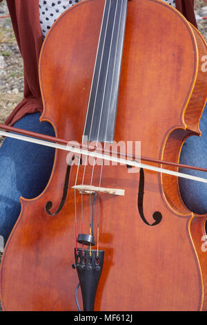 Das Hiram Haus 46 th. Jährliche Kürbisfest bei Hiram Haus Camp. Cello zu Fall gespielt. Stockfoto