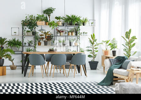 Grüne Decke auf Sofa und gemusterten Teppich in floralen open space Interieur mit grauen Stühlen am Esstisch Stockfoto