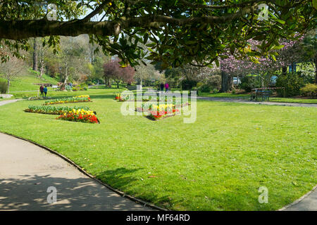 Die preisgekrönte Trenance Gärten in Newquay Cornwall. Stockfoto