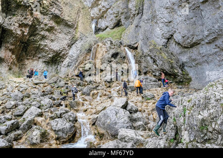 Wanderer und Touristen an gordale Beck durch Goredale Scar, Malham, Malhamdale, North Yorkshire, Yorkshire Dales National Park, England, UK läuft Stockfoto