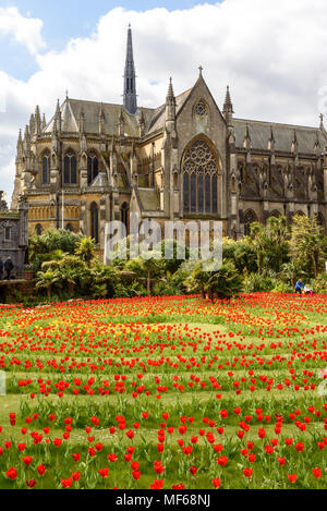 Tulip Festival: Die Tulpe Labyrinth vor der Kathedrale in Arundel, Arundel Castle. Foto © Julia Claxton Stockfoto