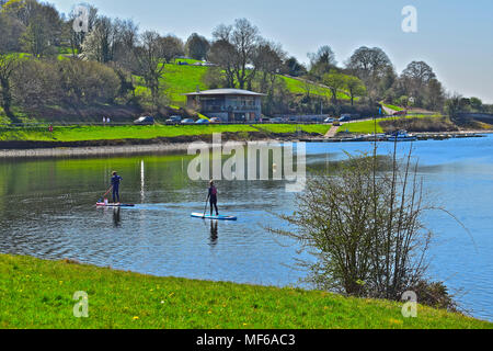 Zwei junge Paddel-boarder Zurück zur Llandegfedd Segelclub auf einem herrlichen sonnigen Tag mit Llandegfedd Resevoir Visitor Center im Hintergrund. Stockfoto