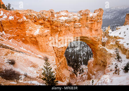 Natürliche Brücke. Erosion der sedimentären Felsen hat natürlichen Bögen im Bryce Canyon im Winter, Utah, USA erstellt Stockfoto