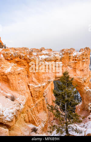 Natürliche Brücke. Erosion der sedimentären Felsen hat natürlichen Bögen im Bryce Canyon im Winter, Utah, USA erstellt Stockfoto