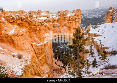 Natürliche Brücke. Erosion der sedimentären Felsen hat natürlichen Bögen im Bryce Canyon im Winter, Utah, USA erstellt Stockfoto