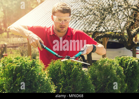 Professionelle männlichen Gärtner Beschneidung Hedge zu Hause Hinterhof Stockfoto