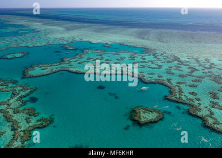 Korallenriff, Heart Reef, Teil von Hardy Reef, Outer Great Barrier Reef, Queensland, Australien Stockfoto