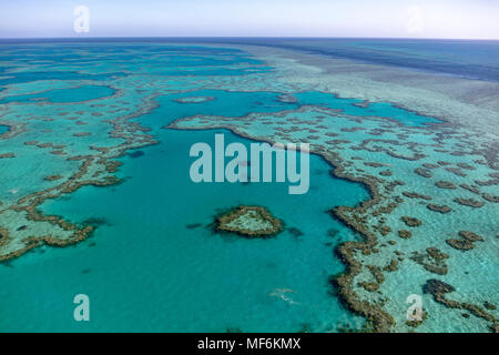 Korallenriff, Heart Reef, Teil von Hardy Reef, Outer Great Barrier Reef, Queensland, Australien Stockfoto