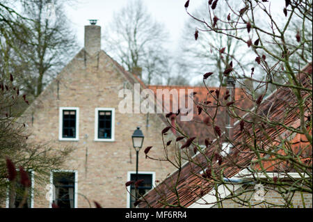 Wände und Dächer der netten traditionellen Gebäuden irgendwo in Holland Stockfoto