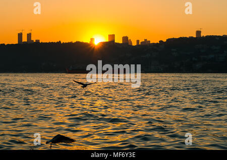 Möwen und den Sonnenuntergang über der Stadt Istanbul, Türkei Stockfoto