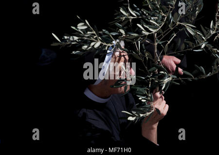 Palmsonntag in der Kirche des Heiligen Grabes, alte Stadt, Jerusalem, Israel Stockfoto