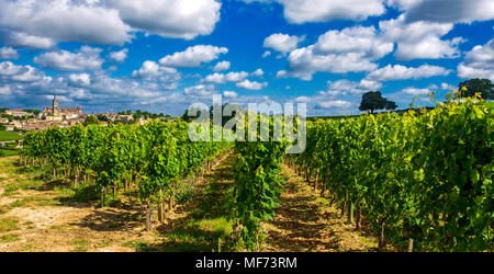 Dorf und Weinberg Saint-Emilion, Gironde, Gironde, Nouvelle Aquitaine, Frankreich, Europa Stockfoto