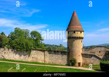 Tour Fabry, Abtei Cluny, Saone et Loire, Burgund, Bourgogne-Franche-Comté, Frankreich, Europa Stockfoto