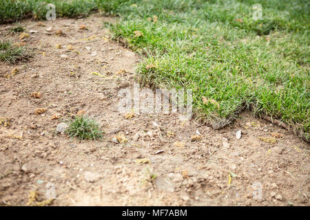 Garten Grenze mit Mulch und Rasen Stockfoto, Bild: 84218119 - Alamy