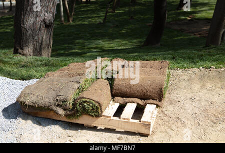 Neue grüne Rasen Gras rollen in einem Stapel auf Holzpalette bereit, in eine Stadt, Park, Stadion, Sport Arena oder in einem formalen Garten gestapelt Stockfoto