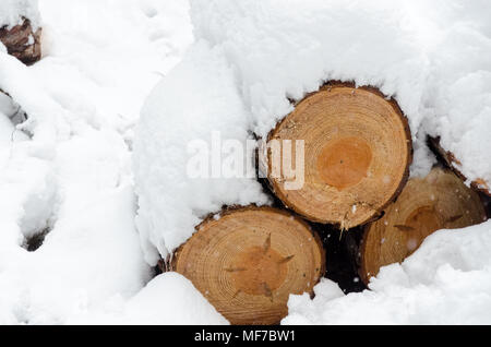 In der Nähe von Pile der schneebedeckten Holz Protokolle unter einer dicken Schneedecke Stockfoto