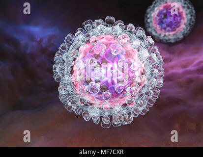 Das Hepatitis-C-Virus. 3D-Darstellung Stockfoto