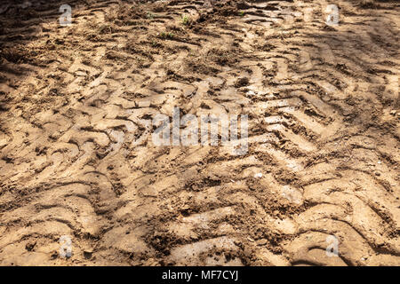 Spuren von vielen Fahrzeug am Boden Staub Straße in der Landschaft Stockfoto