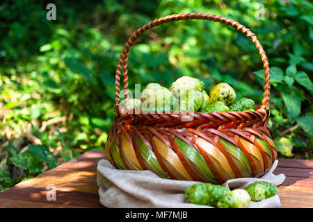 Warenkorb Noni und Noni auf braunem Tuch auf Holztisch mit Natur Hintergrund Stockfoto