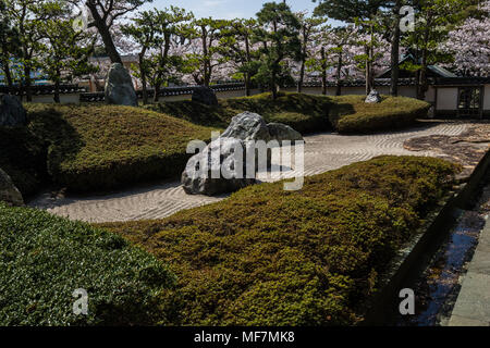 Komyoji Garten Sakura - Komyoji ist ein beliebter Tempel mit Einheimischen in der Kamakura Bereich für seine reichlich vorhandenen Kirschblüten im Frühling, häufige Wochenende Flohmarkt Stockfoto