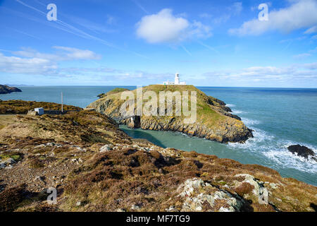 Der Leuchtturm am Strumble Kopf auf den Pembrokeshire Coast National Park in der Nähe von Fishguard in Wales Stockfoto