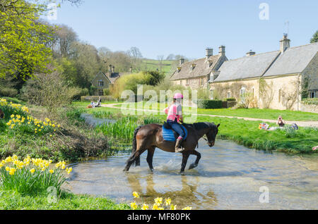 Pferd im Trab durch Fluss Auge im hübschen Dorf Cotswold Upper Slaughter in Gloucestershire, VEREINIGTES KÖNIGREICH Stockfoto