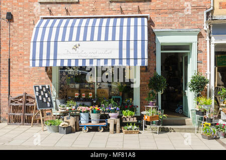 Hummeln und wilden Blumen und Dekoration Shop in Sheep Street in der hübschen Marktstadt Shipston-on-Stour in Warwickshire, Großbritannien Stockfoto