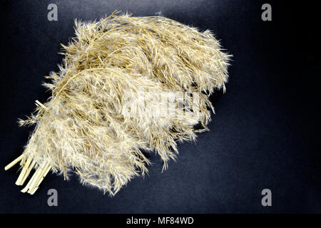 Flauschige beige Reed verbogen Tops auf schwarzem Hintergrund Oberfläche mit freier Speicherplatz Stockfoto