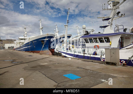 Taits 11, Herausforderung, Chris Andra und tugendhaft pelargic Fischereifahrzeuge, bei Fraserburgh Hafen Stockfoto