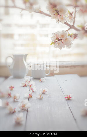 Tasse Kaffee, Milch und Aprikose blühenden Zweig auf einem weißen Tisch Stockfoto