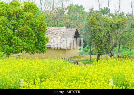 Lijiang, Lijiang, China. 25 Apr, 2018. Jiashan, China 25. April 2018: Cole Blumen blühen in Wuzhen Ancient Town in Lijiang, der ostchinesischen Provinz Zhejiang. Credit: SIPA Asien/ZUMA Draht/Alamy leben Nachrichten Stockfoto