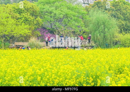 Lijiang, Lijiang, China. 25 Apr, 2018. Jiashan, China 25. April 2018: Cole Blumen blühen in Wuzhen Ancient Town in Lijiang, der ostchinesischen Provinz Zhejiang. Credit: SIPA Asien/ZUMA Draht/Alamy leben Nachrichten Stockfoto