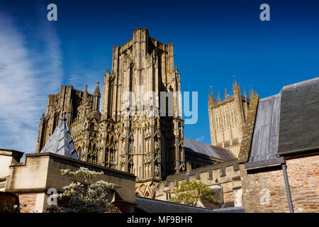 Eine Ansicht von Wells Cathedral von Vikare' zu schließen. Wells ist die kleinste Stadt in England, Somerset, England, Großbritannien Stockfoto