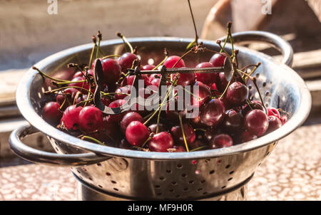 Frische reife Kirsche in Sieb am sonnigen Morgen Stockfoto