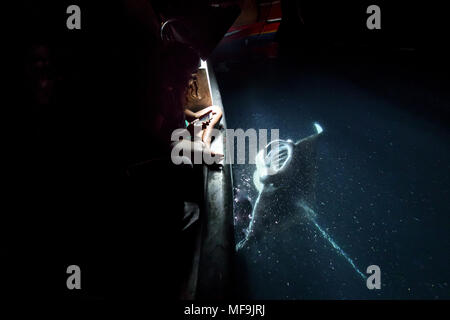 Giant Manta Ray mit riesigen Mund weit geöffnet und zeigt Zähne schwimmt in der Nähe der Fläche hinter dem Boot am Abend als Leute beobachten. Stockfoto