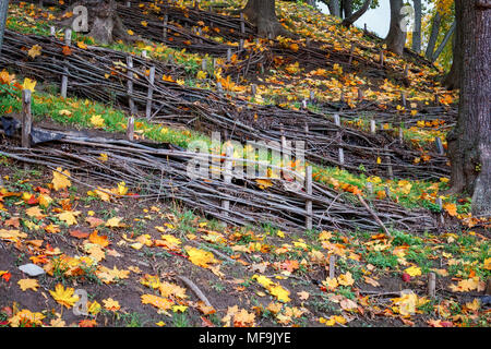 Flechtwerk und Blätter im Herbst Herbst Komposition. Zaun von Zweigen in den Wald Stockfoto