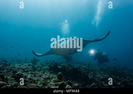 Scuba Diver Fotograf nimmt Bild von riesigen Mantarochen schwimmen über Korallenriff hinter ihm