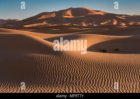 Meer von Sand, Dünen der Wüste Erg Chebbi, Westsahara, Marokko Stockfoto
